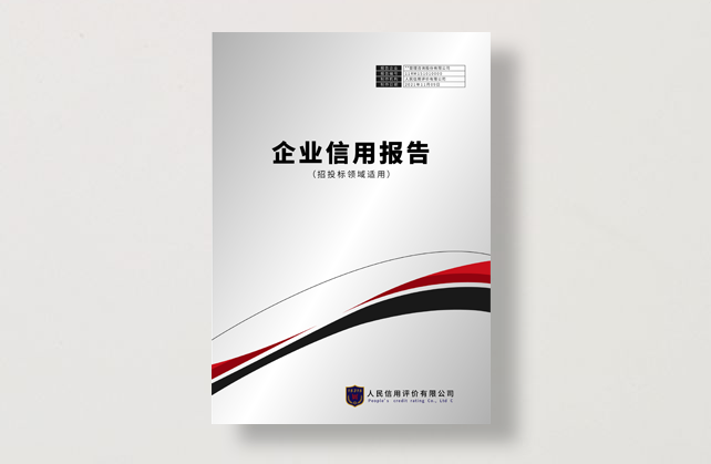 信用报告